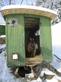 Bauwagen - zum vergr��ern klicken