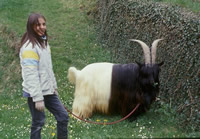 Herkules - zum vergr&ouml;&szlig;ern klicken