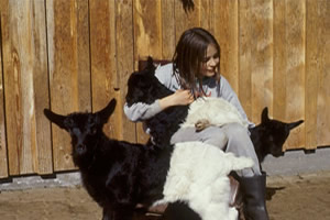 Kitze2 - zum vergr��ern klicken