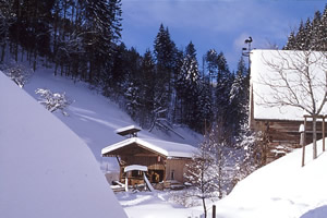 Stall im Winter 2 - zum vergr&ouml;&szlig;ern klicken 
